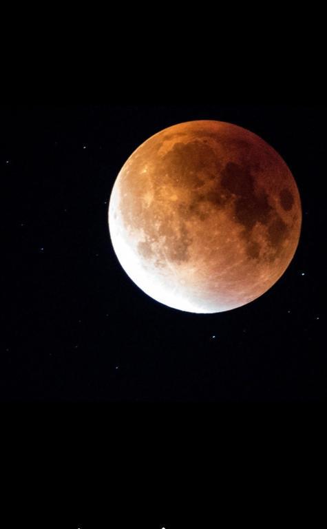 Luna Costinesti Exteriör bild